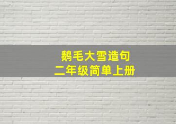 鹅毛大雪造句二年级简单上册