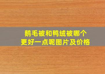 鹅毛被和鸭绒被哪个更好一点呢图片及价格