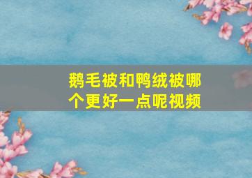 鹅毛被和鸭绒被哪个更好一点呢视频