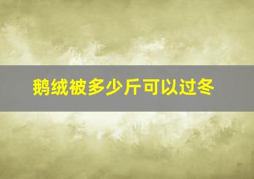 鹅绒被多少斤可以过冬