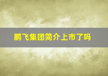 鹏飞集团简介上市了吗