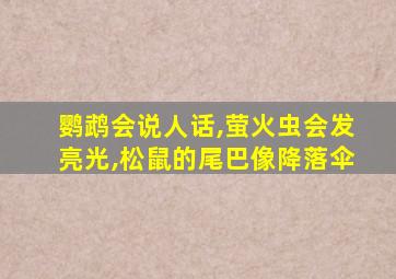 鹦鹉会说人话,萤火虫会发亮光,松鼠的尾巴像降落伞