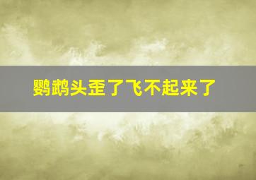 鹦鹉头歪了飞不起来了