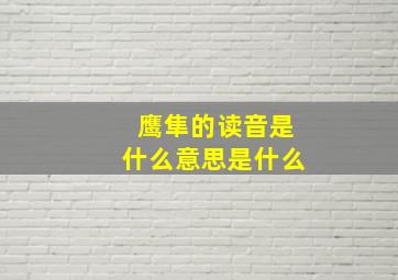 鹰隼的读音是什么意思是什么