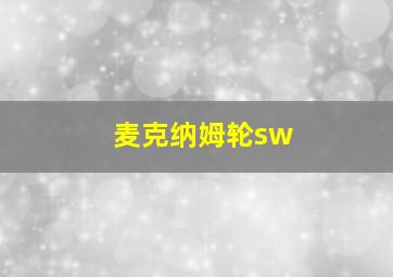 麦克纳姆轮sw