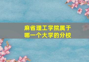 麻省理工学院属于哪一个大学的分校