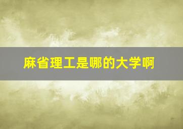 麻省理工是哪的大学啊