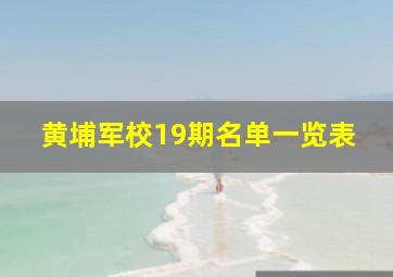 黄埔军校19期名单一览表