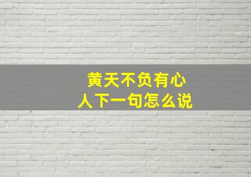 黄天不负有心人下一句怎么说