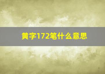 黄字172笔什么意思