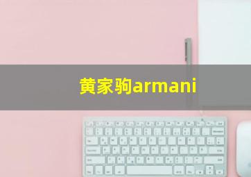 黄家驹armani