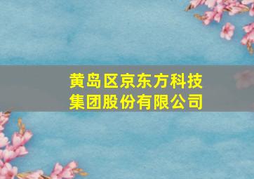 黄岛区京东方科技集团股份有限公司