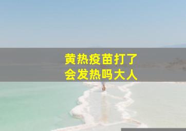 黄热疫苗打了会发热吗大人