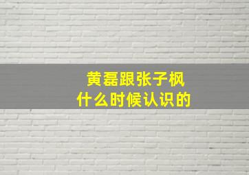 黄磊跟张子枫什么时候认识的