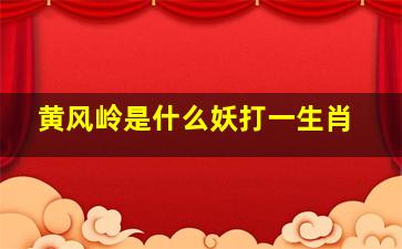 黄风岭是什么妖打一生肖