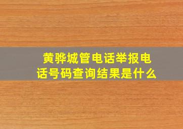 黄骅城管电话举报电话号码查询结果是什么