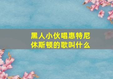 黑人小伙唱惠特尼休斯顿的歌叫什么