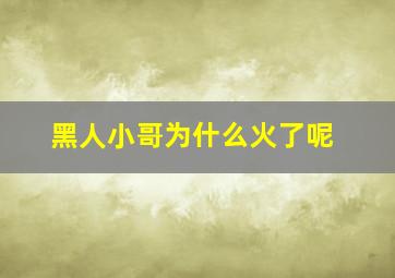 黑人小哥为什么火了呢