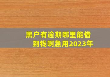 黑户有逾期哪里能借到钱啊急用2023年