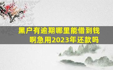 黑户有逾期哪里能借到钱啊急用2023年还款吗