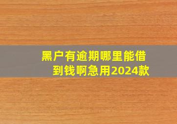 黑户有逾期哪里能借到钱啊急用2024款