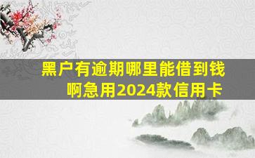 黑户有逾期哪里能借到钱啊急用2024款信用卡