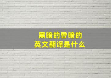 黑暗的昏暗的英文翻译是什么