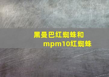 黑曼巴红蜘蛛和mpm10红蜘蛛