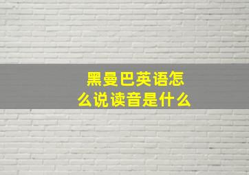 黑曼巴英语怎么说读音是什么