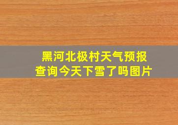 黑河北极村天气预报查询今天下雪了吗图片