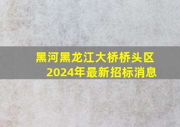 黑河黑龙江大桥桥头区2024年最新招标消息