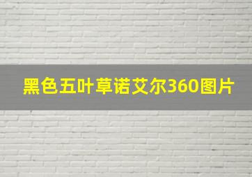 黑色五叶草诺艾尔360图片