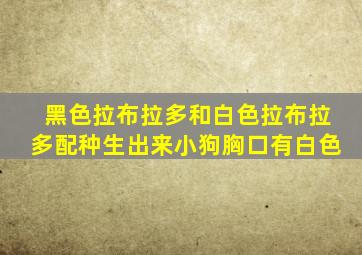 黑色拉布拉多和白色拉布拉多配种生出来小狗胸口有白色