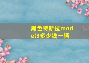 黑色特斯拉model3多少钱一辆