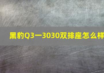 黑豹Q3一3030双排座怎么样