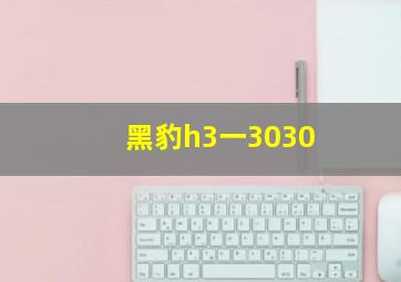 黑豹h3一3030