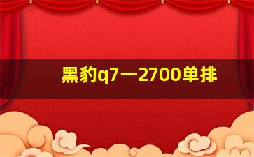 黑豹q7一2700单排