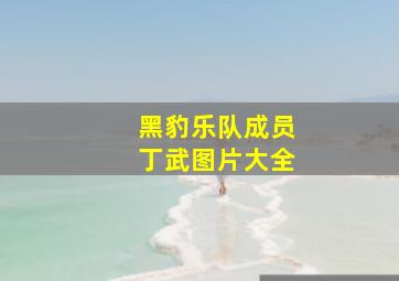 黑豹乐队成员丁武图片大全