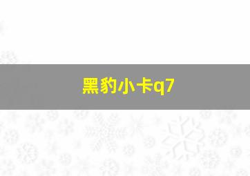 黑豹小卡q7