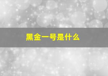 黑金一号是什么