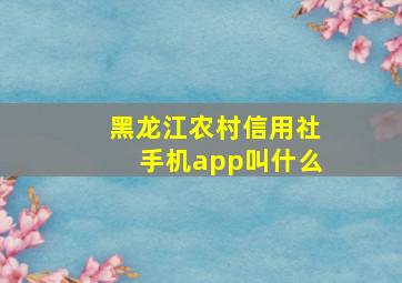 黑龙江农村信用社手机app叫什么