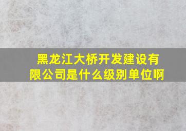 黑龙江大桥开发建设有限公司是什么级别单位啊