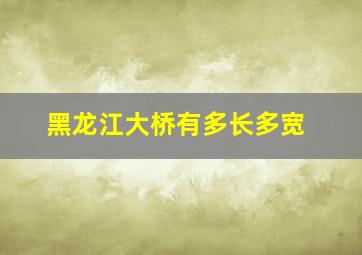 黑龙江大桥有多长多宽