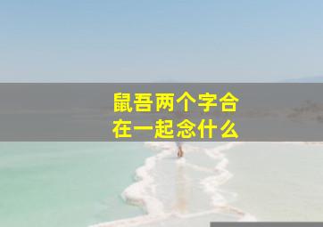 鼠吾两个字合在一起念什么