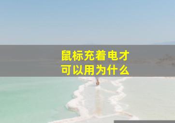 鼠标充着电才可以用为什么