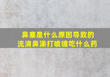 鼻塞是什么原因导致的流清鼻涕打喷嚏吃什么药