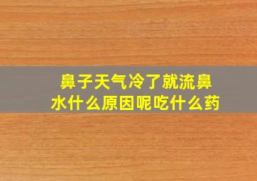 鼻子天气冷了就流鼻水什么原因呢吃什么药