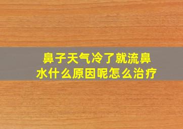 鼻子天气冷了就流鼻水什么原因呢怎么治疗