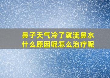 鼻子天气冷了就流鼻水什么原因呢怎么治疗呢