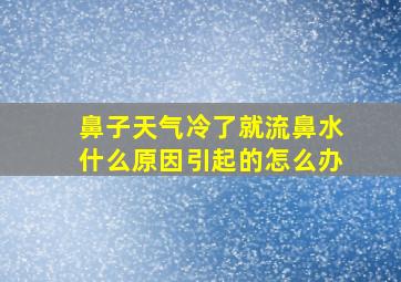 鼻子天气冷了就流鼻水什么原因引起的怎么办